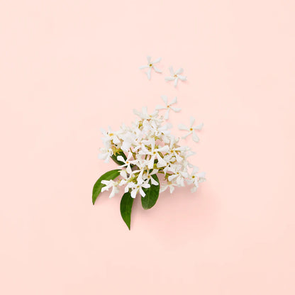Bloom - EDP - 100ml