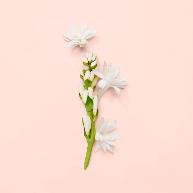 Bloom - EDP - 100ml