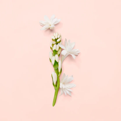 Bloom - EDP - 100ml