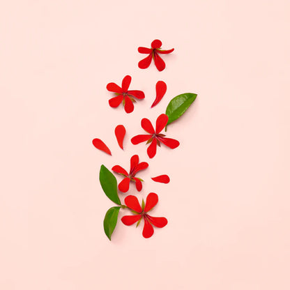 Bloom - EDP - 100ml