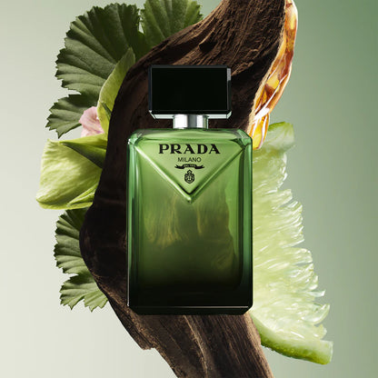 Paradigme - EDP - 100ml